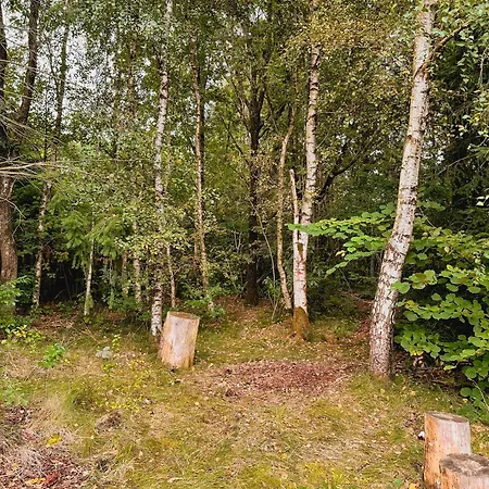 Dejlig Hytte Ved Skov Og Kvie So, Taet Pa Legoland Ansager
